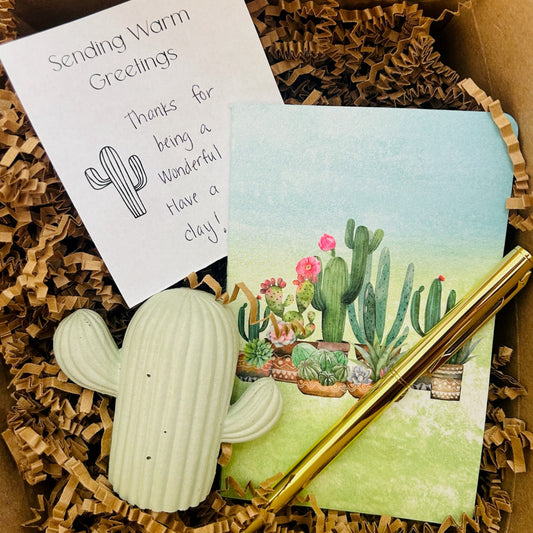 realtor thank you gift, cactus gift, cactus thank you gift for realtors, arizona gift, client check-in