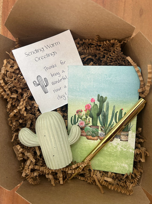 realtor thank you gift, cactus gift, cactus thank you gift for realtors, arizona gift, client check-in